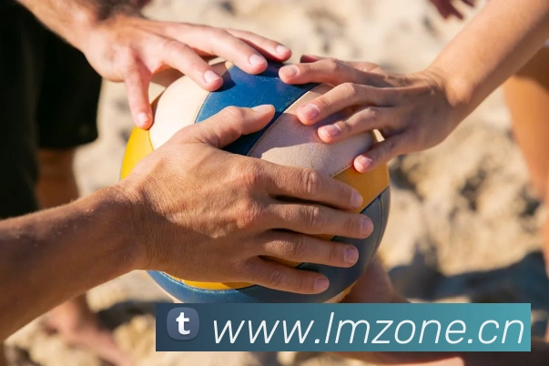 半岛平台平台生态图